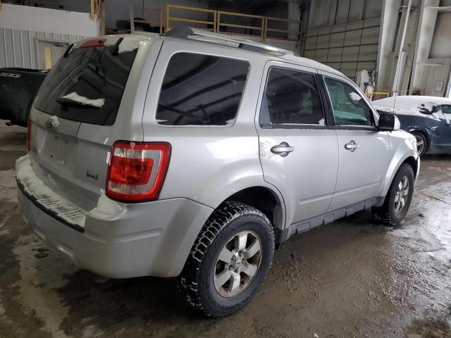 2010 Ford Escape Limited