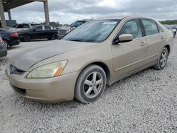 Salvage cars for sale at West Palm Beach, FL auction: 2005 Honda Accord EX