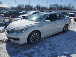 Hybrid Vehicles for sale at auction: 2017 Honda Accord Touring Hybrid