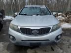 2011 KIA Sorento Base