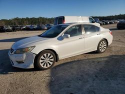 Salvage cars for sale at Harleyville, SC auction: 2013 Honda Accord EX