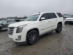 4 X 4 for sale at auction: 2015 Cadillac Escalade Premium