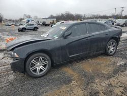 Dodge Vehiculos salvage en venta: 2013 Dodge Charger SXT