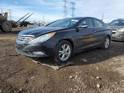 Salvage cars for sale at Elgin, IL auction: 2013 Hyundai Sonata SE