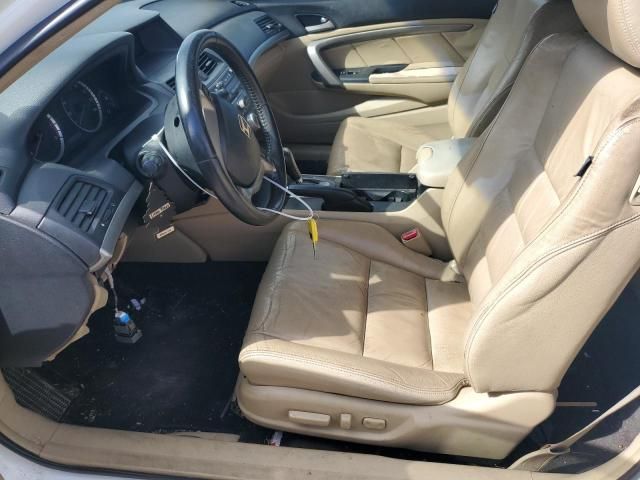 2009 Honda Accord EXL