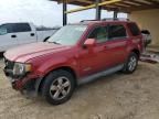 2008 Ford Escape Limited