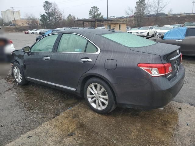 2010 Lexus ES 350