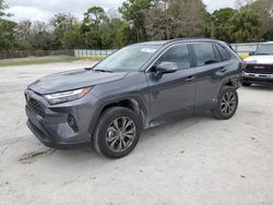 Salvage cars for sale at Fort Pierce, FL auction: 2024 Toyota Rav4 XLE Premium