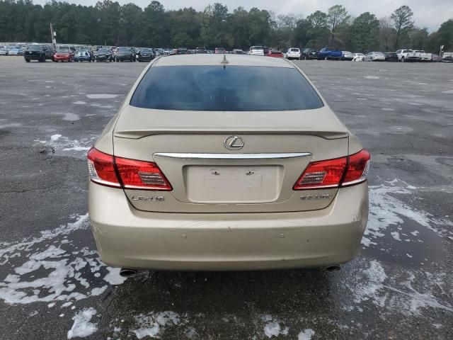 2010 Lexus ES 350