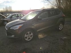 Salvage cars for sale at Arlington, WA auction: 2016 Ford Escape SE