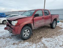 Salvage cars for sale at Rapid City, SD auction: 2005 Toyota Tacoma Double Cab