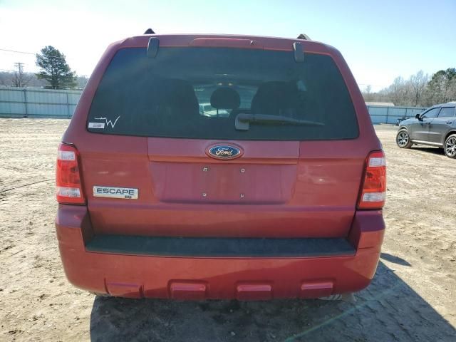 2009 Ford Escape XLT