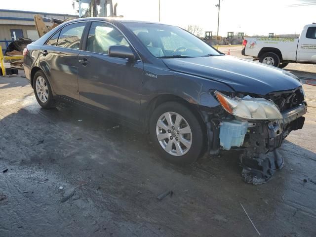 2009 Toyota Camry Hybrid