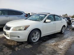 Salvage cars for sale at New Britain, CT auction: 2008 Honda Accord EXL