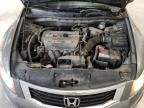 2009 Honda Accord LXP