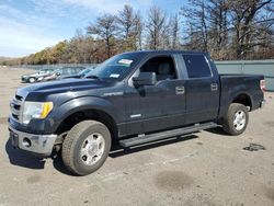 Salvage cars for sale at Brookhaven, NY auction: 2013 Ford F150 Supercrew