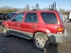 2007 Ford Escape XLT