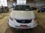 2010 Honda Accord EX