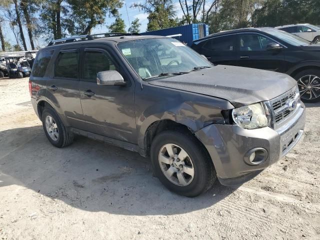 2011 Ford Escape Limited