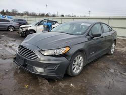 2019 Ford Fusion SE en venta en Pennsburg, PA