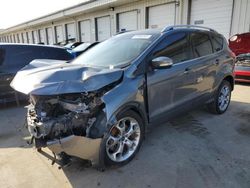 Salvage cars for sale at Louisville, KY auction: 2014 Ford Escape Titanium