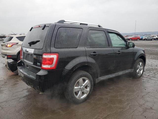 2011 Ford Escape Limited