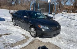 Toyota Vehiculos salvage en venta: 2009 Toyota Camry Hybrid