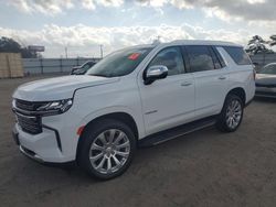 Salvage cars for sale at Newton, AL auction: 2023 Chevrolet Tahoe K1500 Premier