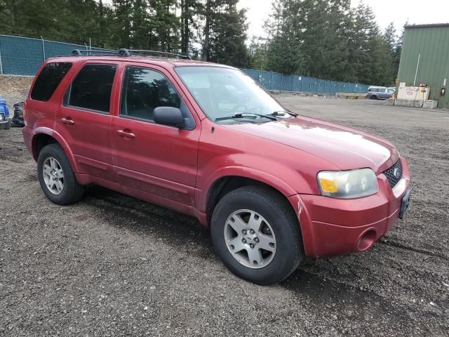 2005 Ford Escape Limited