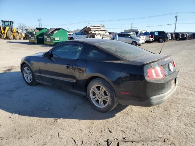 2010 Ford Mustang