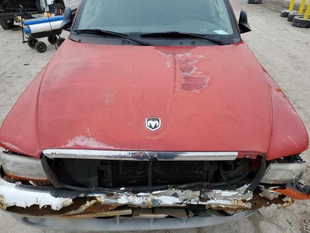 2001 Dodge Dakota Quattro