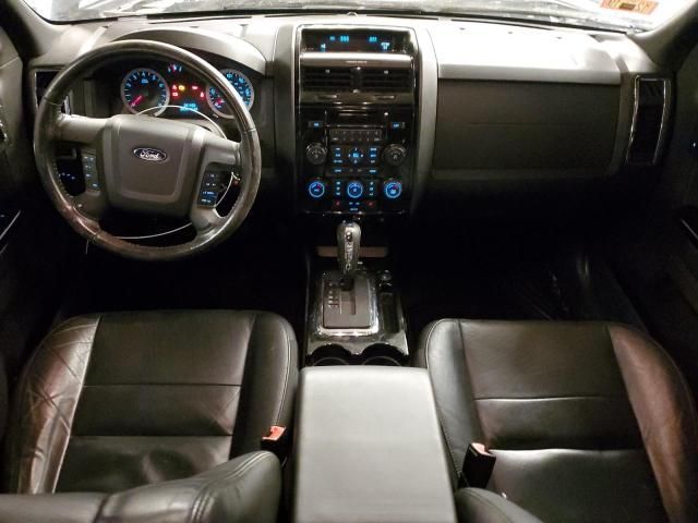 2010 Ford Escape Limited