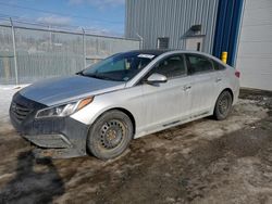 Salvage cars for sale at Elmsdale, NS auction: 2017 Hyundai Sonata Sport