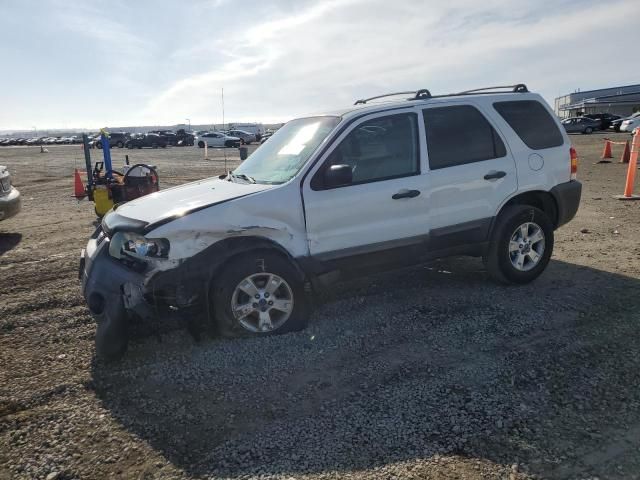 2006 Ford Escape XLT