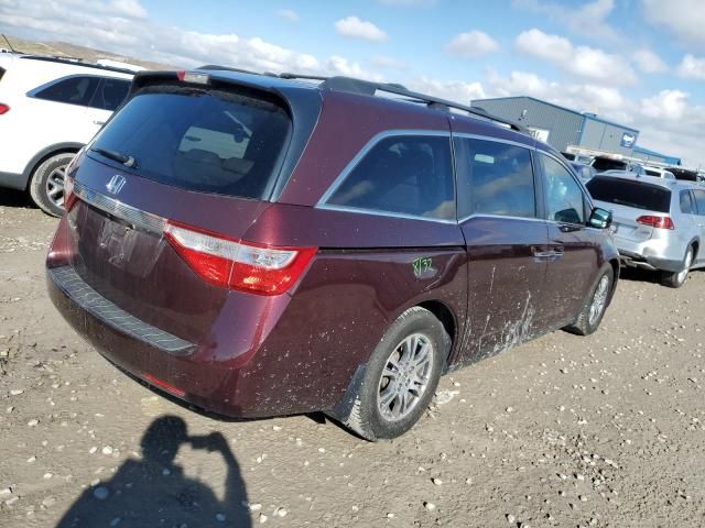 2011 Honda Odyssey EXL