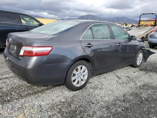 2007 Toyota Camry Hybrid