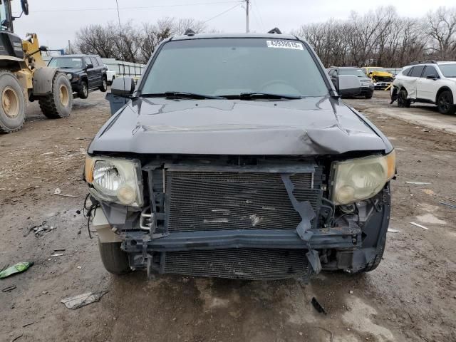 2009 Ford Escape Limited