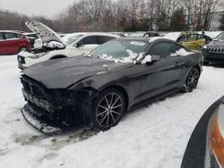 Salvage cars for sale at auction: 2016 Ford Mustang