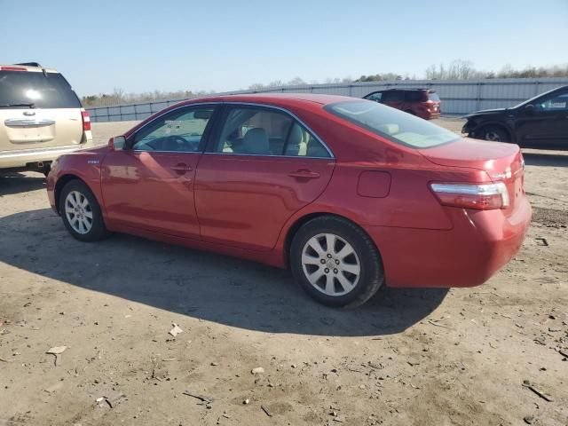 2008 Toyota Camry Hybrid