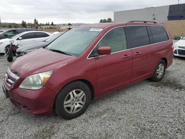 2005 Honda Odyssey EXL