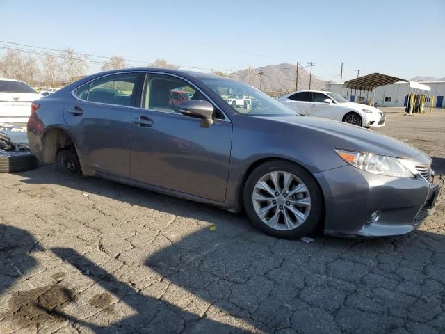 2013 Lexus ES 300H