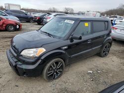 Salvage cars for sale at Baltimore, MD auction: 2010 KIA Soul +