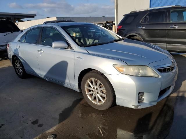 2010 Toyota Camry Hybrid