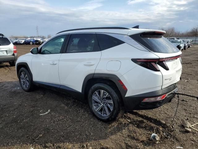 2022 Hyundai Tucson Blue