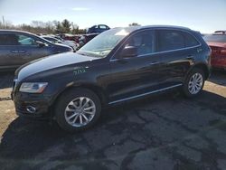 Salvage cars for sale at Pennsburg, PA auction: 2016 Audi Q5 Premium