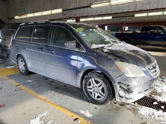 2005 Honda Odyssey EXL