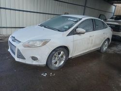 Salvage cars for sale at Brighton, CO auction: 2014 Ford Focus SE