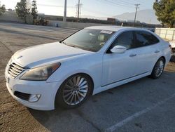 Hyundai Equus salvage cars for sale: 2015 Hyundai Equus Signature