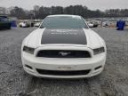 2013 Ford Mustang