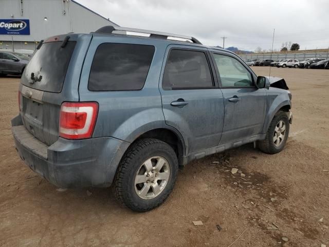 2011 Ford Escape Limited